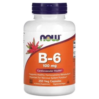 ویتامین B6 ناو فودز (100mg) 250 عددی
